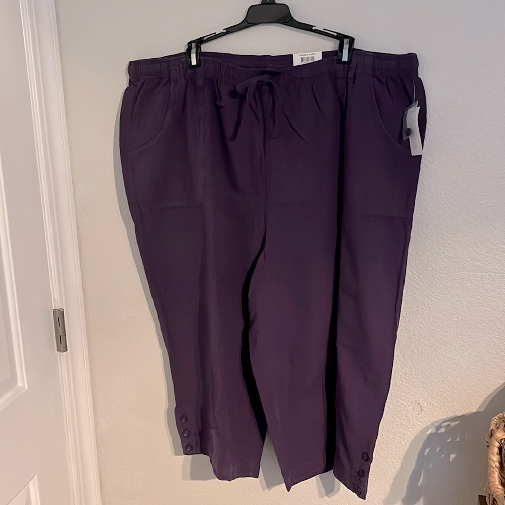 Karen Scott comfort waist Cherry Capri “Cassis” purple Plus size 3X
